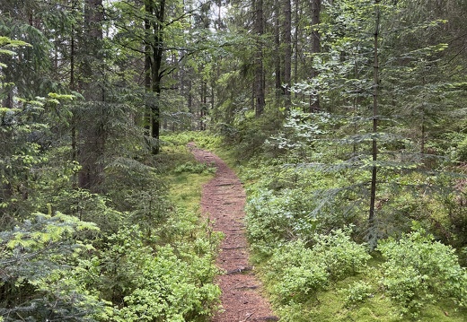 22-05-29 11-57-35 0955